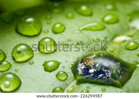 leaf with rain droplets?Recovery - earth concept ) /  rain droplets on a leaf reflecting earth concept for environmental conservation   \