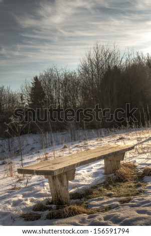A wooden bench stands by a small lake. It is early morning and the frost on the bench is glittering in the sun light.