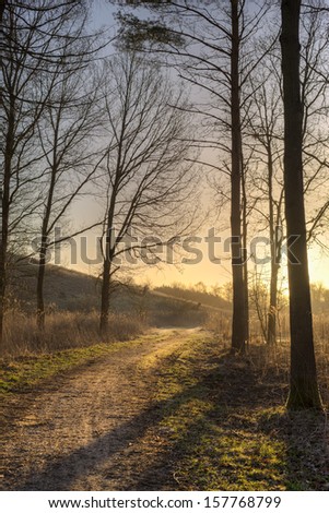 A path exits the forest towards the rising sun.