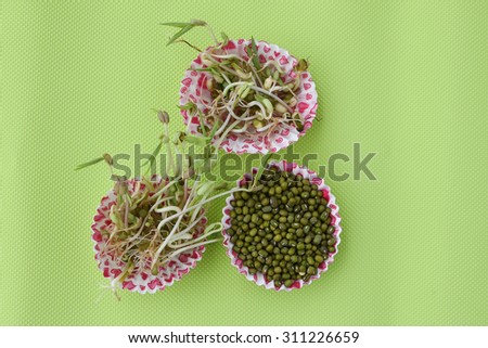 Sprouting Seeds of green gram, flax seed growing in a tray plants germinate. This macrobiotic food used as condiment for cooking or as a feed for domestic animals.