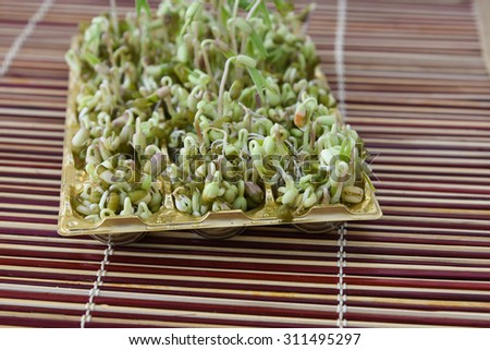 Sprouting Seeds of green gram, flax seed growing in a tray plants germinate.macrobiotic food used as condiment for cooking or feed for domestic animals.Heart healthy,Protein rich food on a bamboo mat
