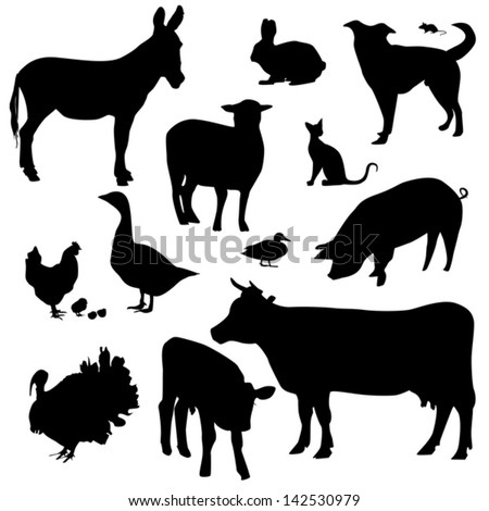 Farm Animals On A White Background - Vector Silhouette - 142530979 ...