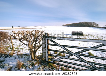 Farm gate and hedge blocks entrance to snow covered field in North Yorkshire, UK.