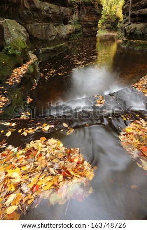 Canyon creek with autumn leaves vertical landscape