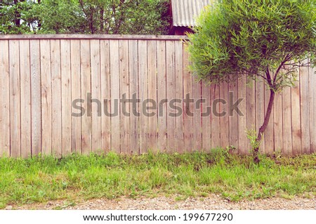 Background rustic wooden fence with green grass, road and tree in front of it