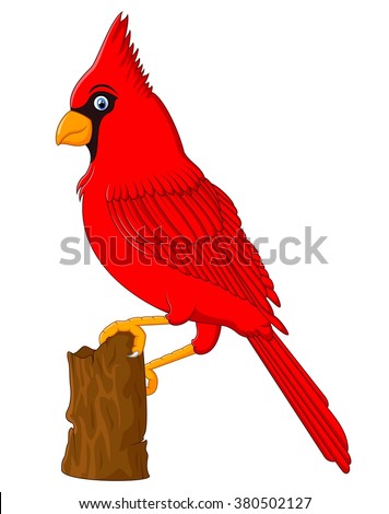 Red Cardinal sitting on a tree branch