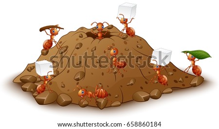 Similar – Image, Stock Photo Ants on anthill ants Heap