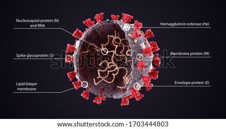 Realistic 3D Illustration of COVID-19  Virus Structure Diagram. Corona Virus SARS-CoV-2, 2019 nCoV virus sheme. Full text description with sliced model and RNA on dark background. Omicron Imagine de stoc © 