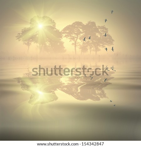 Beautiful foggy morning with silhouette of trees and flock of birds, reflected in a water