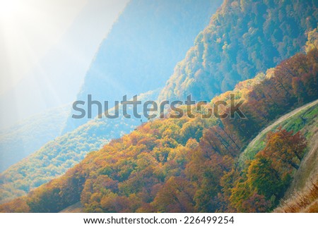 Sunshine above the beautiful red forest on a hills of foggy mountain valley.