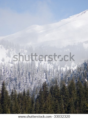 Snow Capped Mountains And Frost Covered Pine Trees Stock Photo 33032320 ...