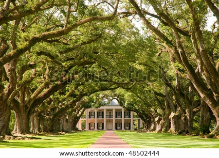 Oak Alley Plantation, hanging oak tree branches and brick path