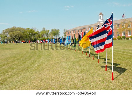 field of United States, individual State Flags