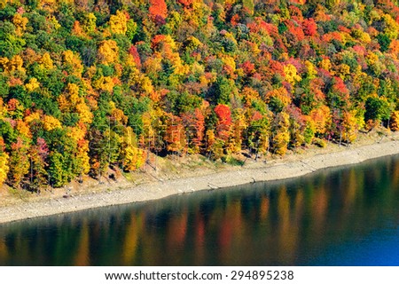 Autumn Forest by River at Allegheny National Forest