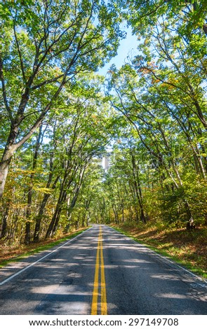 Road with Canopy at Shenandoah National Park
