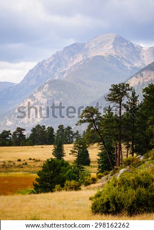 Pine Trees and Mountains at Rocky Mountain National Park