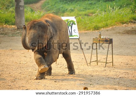 The activities at The young Elephant school : elephant bathing in the river, elephant painting and elephant riding, March, 2015 in Chiangmai, THAILAND