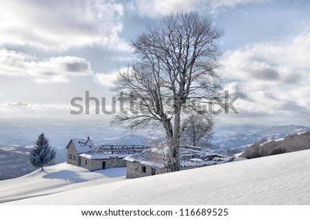 alone frozen tree on alps mountain top and view of far mountain chains