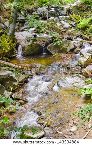 fall forest stream of ecology clean environment, Macedonia