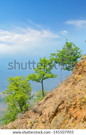 Green environment and tree on mountain horizon and blue clear sky clouds, vertical, Macedonia