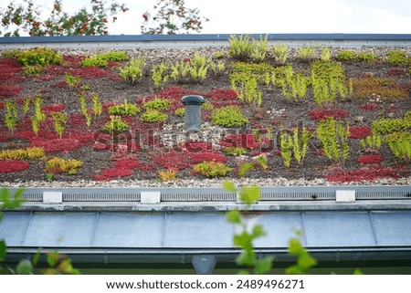 Similar – Image, Stock Photo roof greening