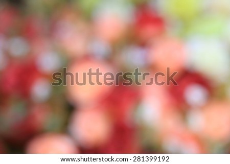 blurred beautiful vintage roses of artificial flowers
