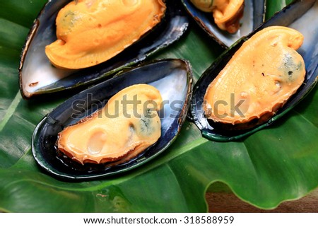 big green mussel