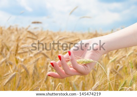A woman\'s hand holding wheat on a field with a blue sky and a golden glow
