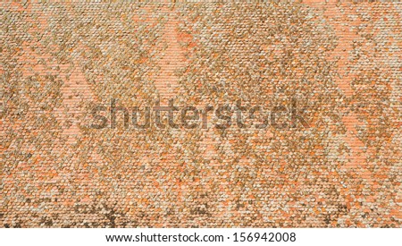Large scale orange shingle texture with rounded ancient shingles on a giant roof structure