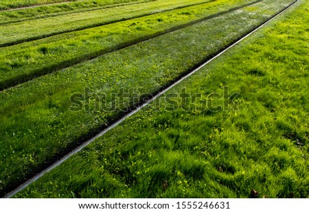 Similar – Foto Bild Schienen durch grüne Wiese