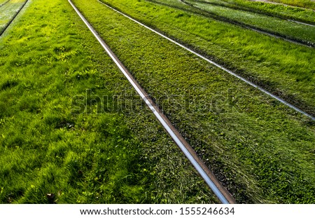 Foto Bild Schienen durch grüne Wiese