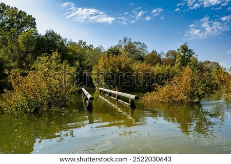 Similar – Image, Stock Photo Forest and bridge in fog