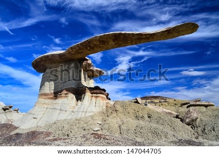Rock formation - Momo's Wing - New Mexico