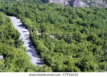 A road in the mountains with the growing trees on it in one of the european countries