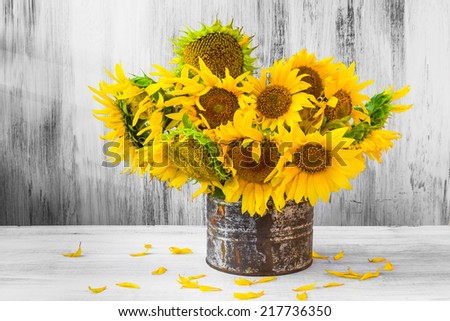 Still Life. Bouquet of sunflowers in old tin