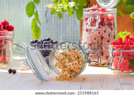 Preparation of products processed: fresh colorful summer fruits in jars