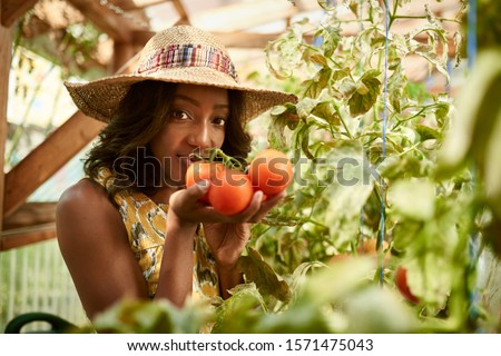 Similar – Image, Stock Photo Young woman harvesting fresh courgettes from the garden