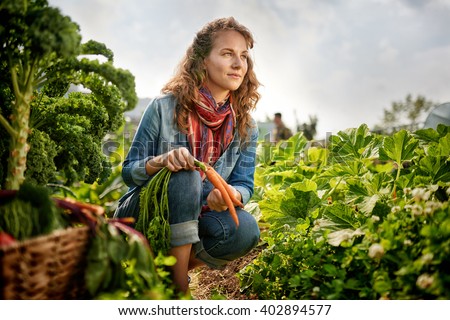 Similar – Image, Stock Photo Young woman harvesting fresh courgettes from the garden