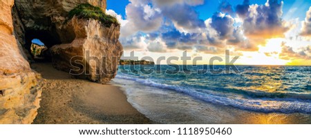 Amazing Sea
