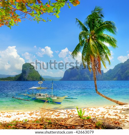 beautiful tropical scene