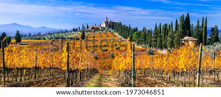 Autumn scenery. countryside of Tuscany. Golden vineyards and castle Castello di  Banfi. Italy Stock fotó © 
