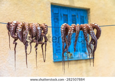 traditions of Greek cuisine - octopus drying in sun