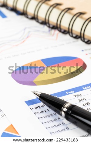 Marketing report pie chart with graph analysis