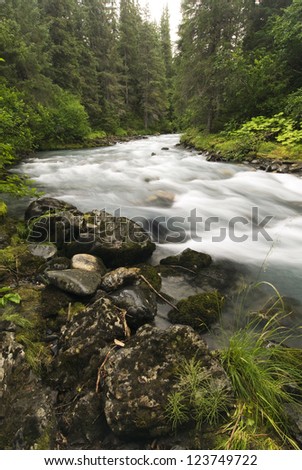 Winner Creek in the Chugach National Forest near Girdwood, Alaska