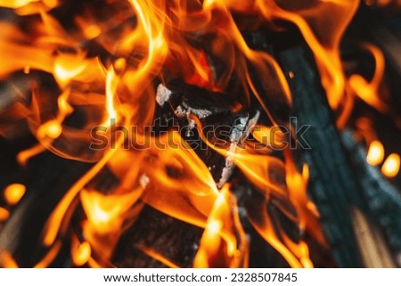 Similar – Image, Stock Photo Flames leap up, the heat distorts the view on the tree in the background