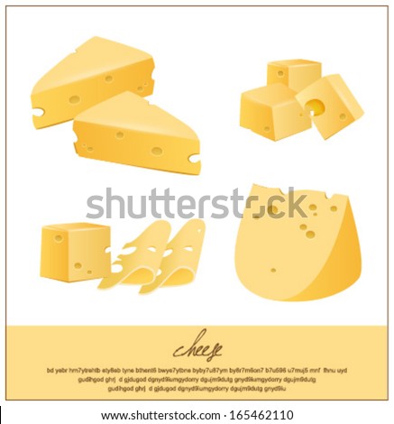 piece of cheese isolated on a white background vector