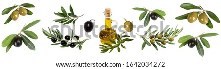 collage of olives, olive branches, olive oil bottle on a white background isolated
