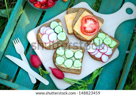 Delicious sandwiches on the Board at a picnic closeup
