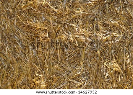 Texture of rolled straw after harvest in summer