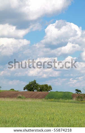 Marsh with cultivated land in background and beautiful sky
